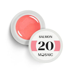 20. Salmon Gel Paint