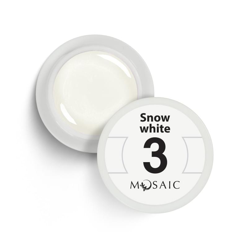 3. Snow white Gel Paint