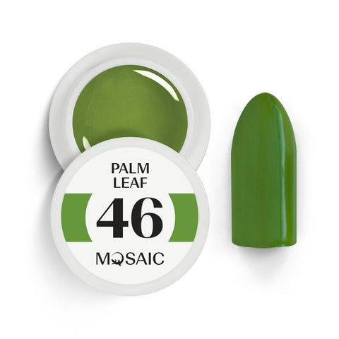 46. Palm leaf Gel Paint