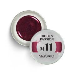 M11. Hidden passion Gel Paint 5ml