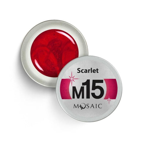 M15. Scarlet Gel Paint 5ml
