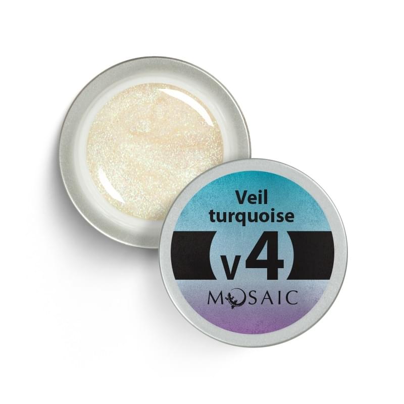 V4. Turquoise Veil Gel Paint 5ml